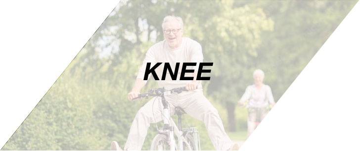 Knee